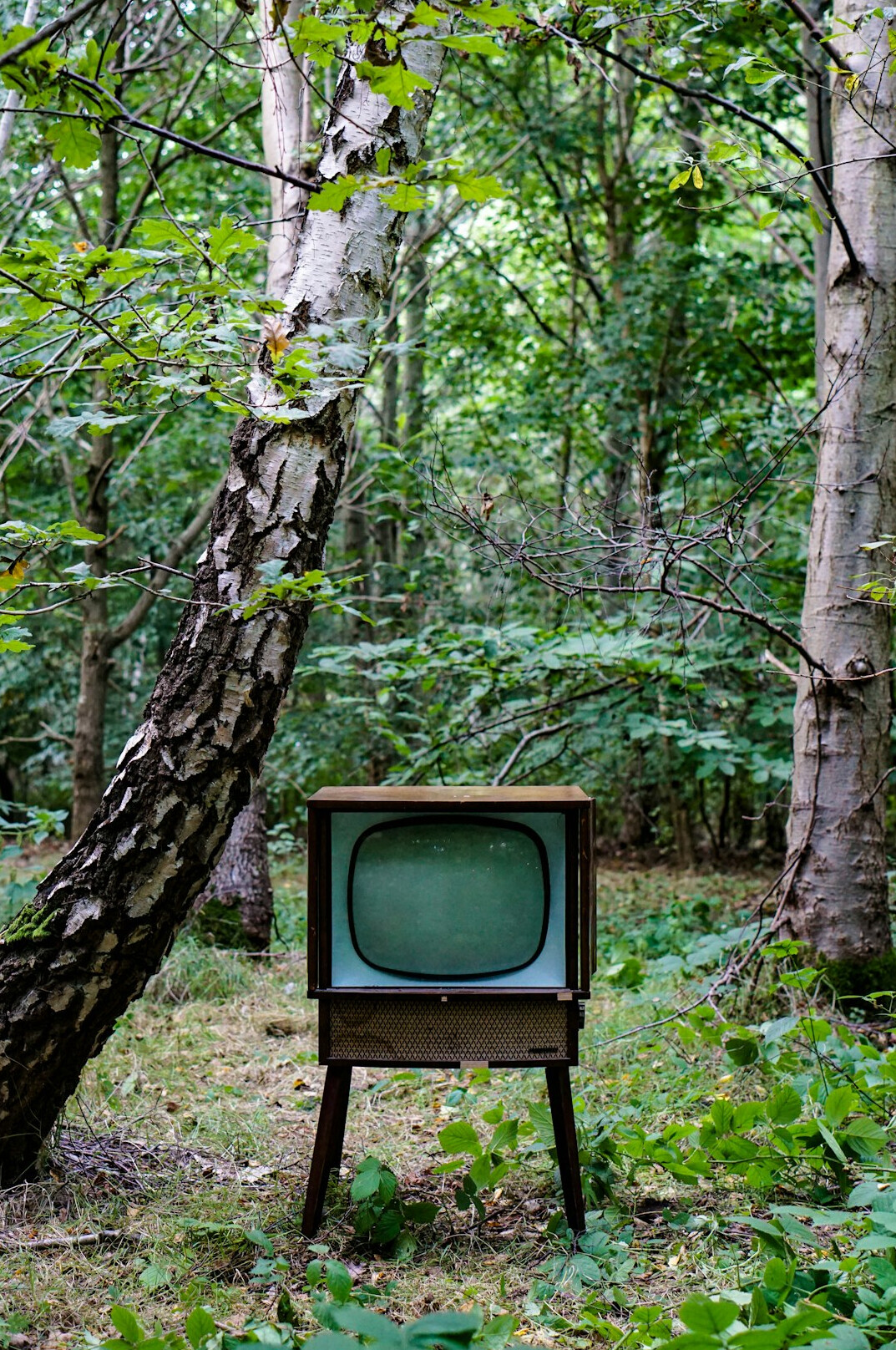 vintage french television set